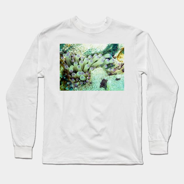 Purple Tipped Giant Sea Anemone and Cleaner Shrimp Long Sleeve T-Shirt by Scubagirlamy